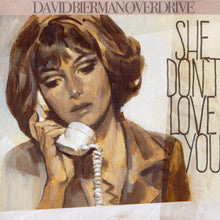 Load image into Gallery viewer, David Bierman Overdrive "She Don't Love You" 7" vinyl single I-94-017