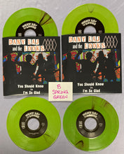 Load image into Gallery viewer, Dany Laj & the Looks "You Should Know" 7" vinyl single I-94-019